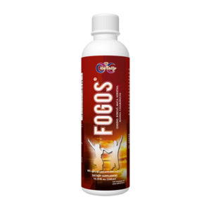 FOGOS